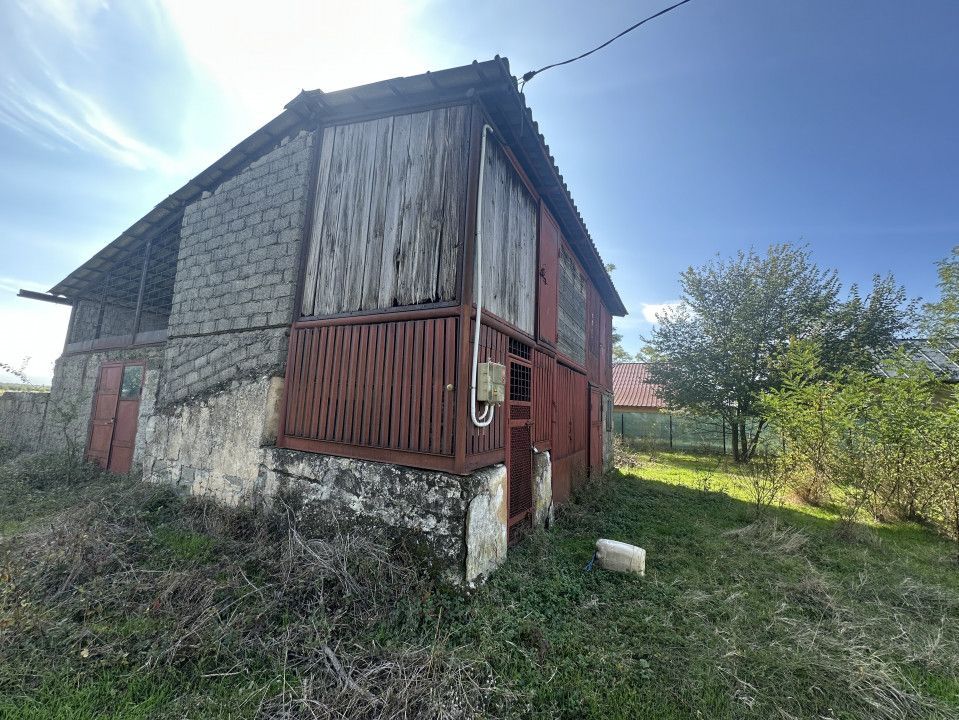 Teren 5216 mp la 2 pasi de autostrada A1 - Poză 10