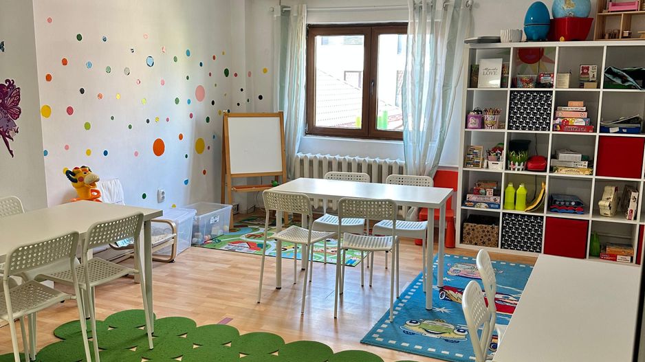 SPATIU COMERCIAL DOMENII, LOC PARCARE, CENTRALA, MOBILAT/UTILAT, CURTE - Poză 17