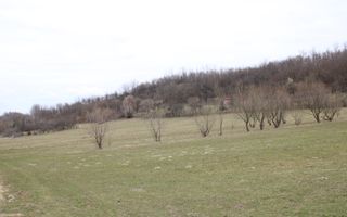 Pământ I Fereastră către Eternitate în  Transilvania - Poză 10