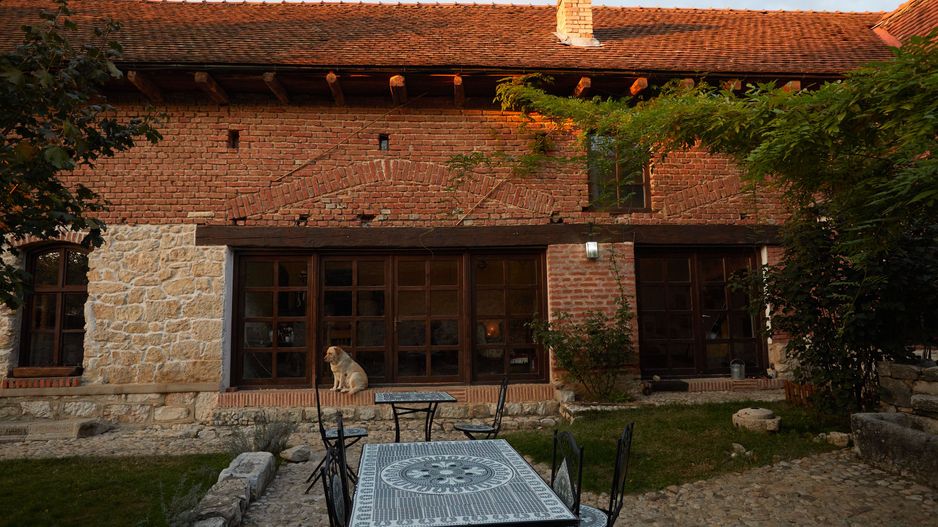 CASA THEA | INVESTIȚIE ÎN TURISM, GASTRONOMIE ȘI EXPERIENȚE | SOCOLARI - Poză 15