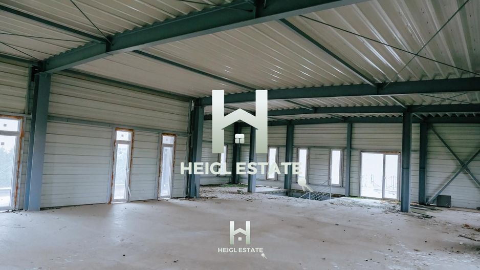 Sala de evenimente in Albina - Poză 11