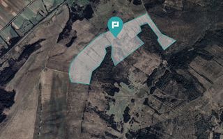 Teren arabil de 40 hectare în Secaș, Timiș - Poză 1