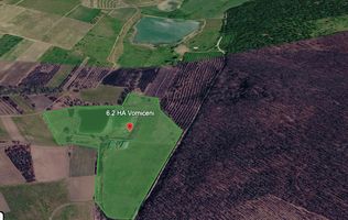Teren de 6.2 Hectare cu Iaz propriu, lângă pădure – Vorniceni, Strășeni!