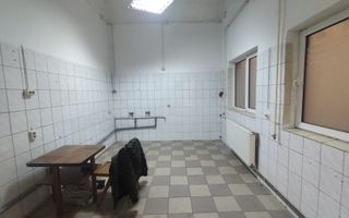 Spatiu comercial de inchiriat zona Bulevard Timisoara - Poză 11