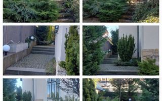 Spatiu pentru birouri, Andrei Muresanu,  185 mp, terasă și grădină - Poză 3