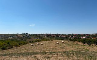 Teren intravilant | 6,355 mp | Săldăbagiu de Munte - Poză 2