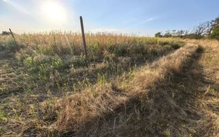 Teren intravilan 7600 mp cu certificat de urbanism P+2+M - Poză 4