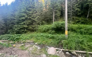 50 hectare teren | Moldova-Sulita | Potential turistic si agricol - Poză 18