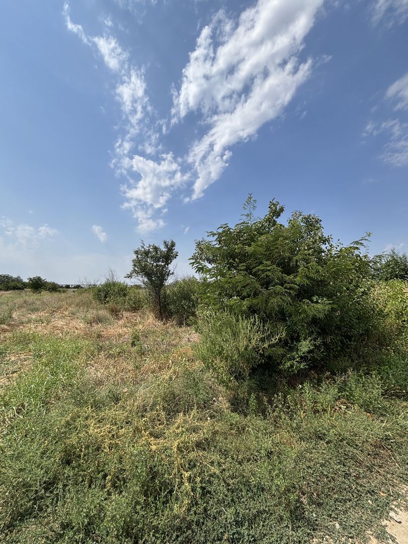 DE VANZARE - Teren – Centura de Nord Craiova, Aleea 1 Șimnic - Poză 3
