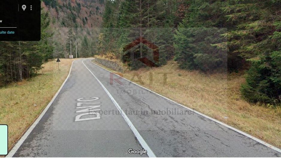 TEREN EXTRAVILAN PADURE PISCUL NEGRU ARGES - Poză 2