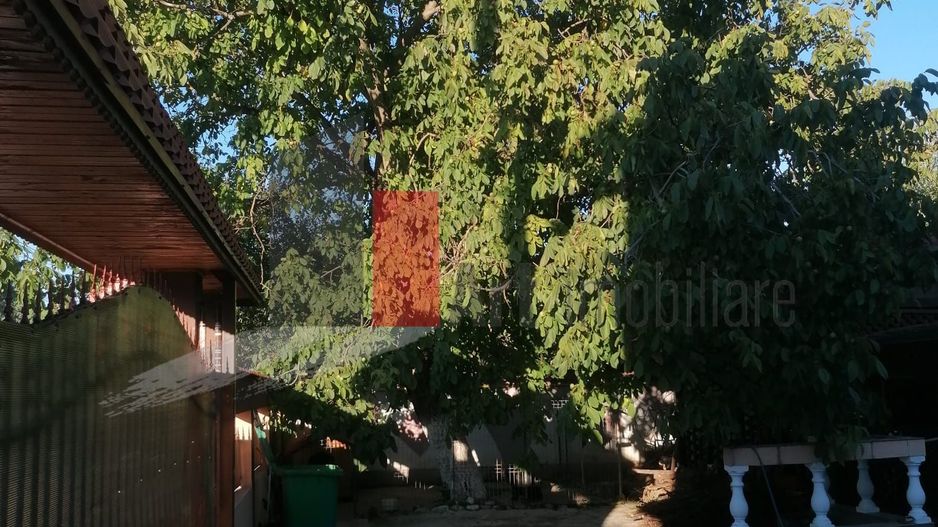 Dascalu-lfov-Vila D+P+M-5 camere-Locatie Deosebita - comision 0 - Poză 9