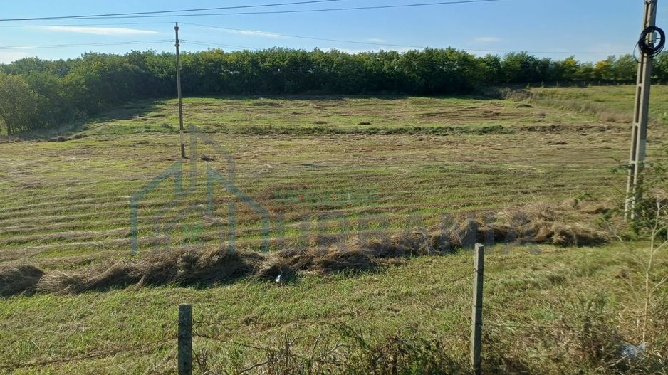 Teren intravilan 1 ha de vânzare în comuna Țigănași, la 22 km de Iași, zona Carniceni - Poză 3