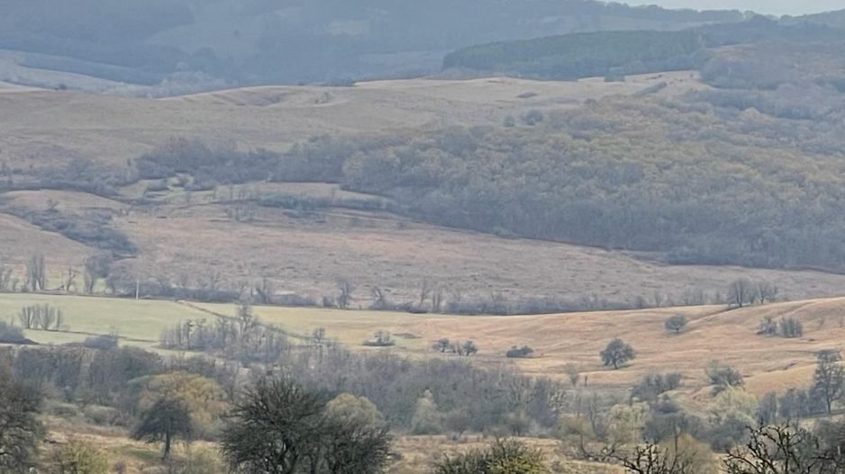 Ferma cu teren de 200 hectare - Poză 8