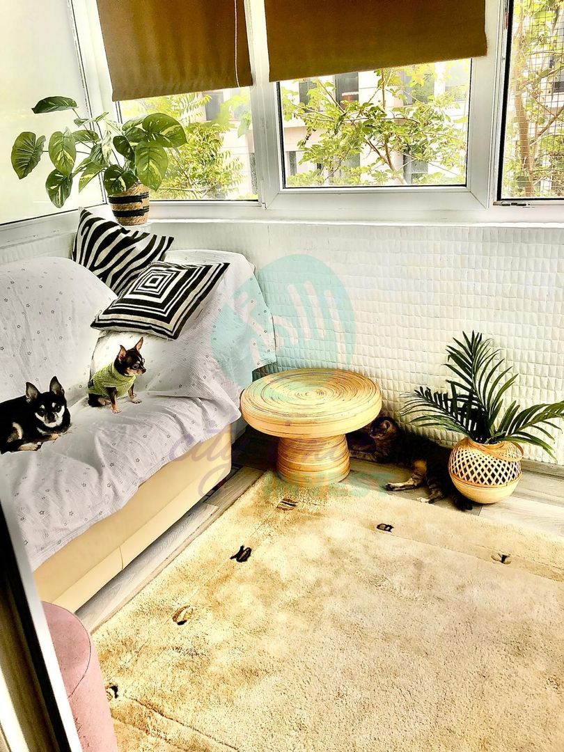 Apartament cu 3 camere renovat si cu parcare - Poză 8