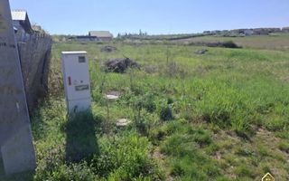 Teren toate utilitatile Paleu - Poză 3