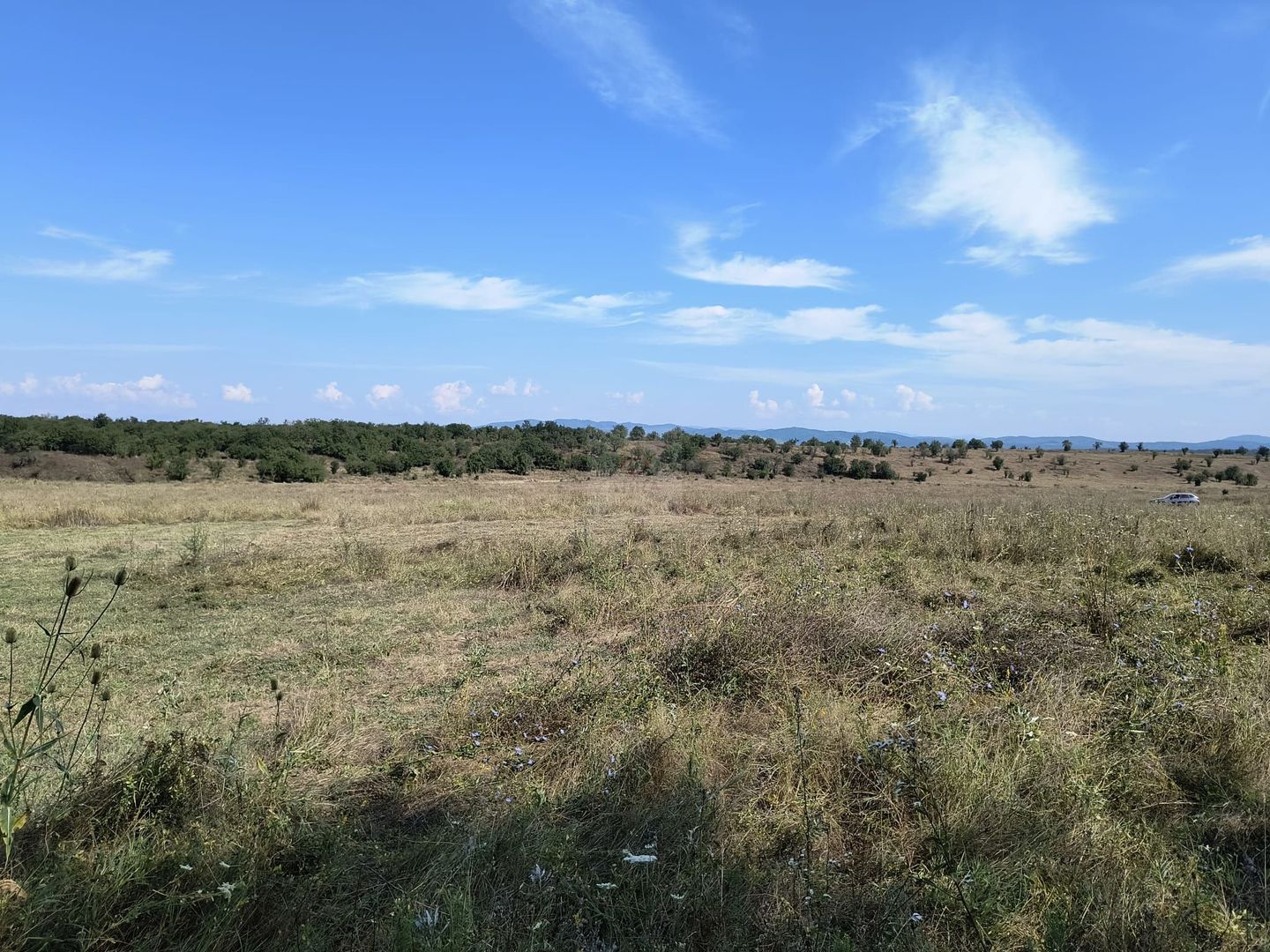 Teren intravilan investitie - Poză 5