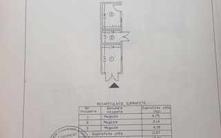 Vilă în Cotroceni | Curte proprie | Gradina Botanică-Palat-Carol Davilla - Poză 13
