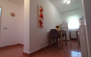 Garsonieră de închiriat | Sibiu, Turnișor | 31 mp | parcare - Poză 2