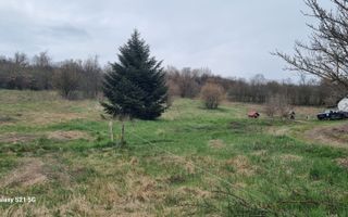 Teren Intravilan 1000 mp.utilităti langa teren,Targu Mures - Poză 3