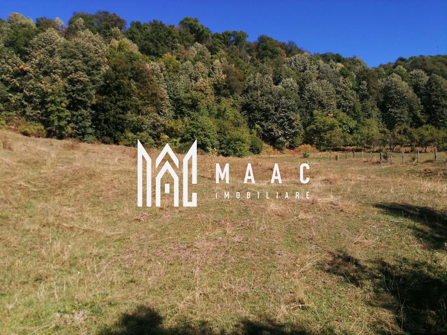 Teren Extravilan 20.000Mp I Stoenești -Vâlcea I Apă Curentă și Pădure - Poză 11