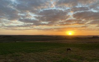 Casă parter 115 mp utili, 3 dormitoare, 2 băi, mobilată și utilată, Breazu–Iași - Poză 2