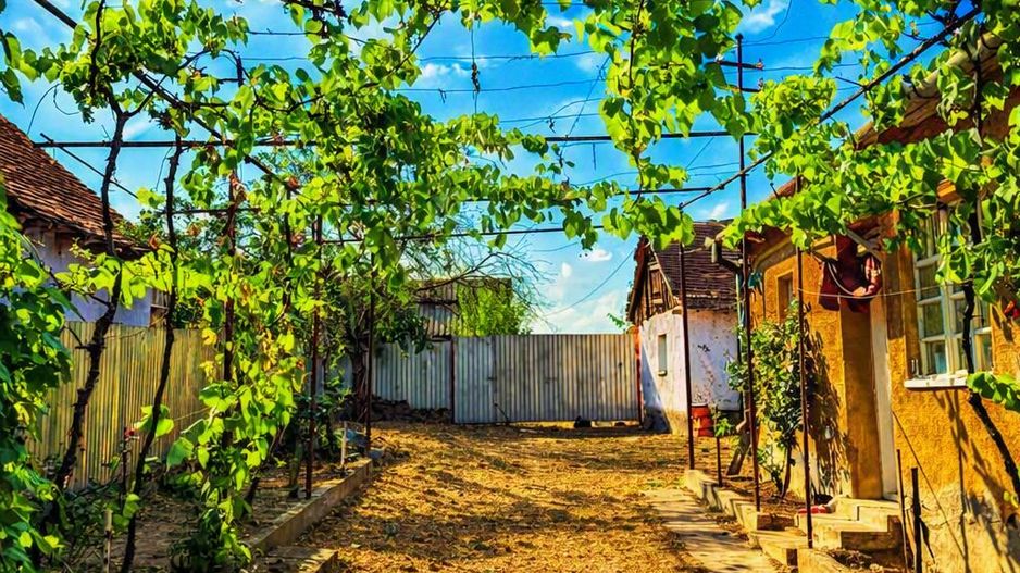 Casă + teren generos 1603 mp, poziție centrală – Ianoșda - Poză 2