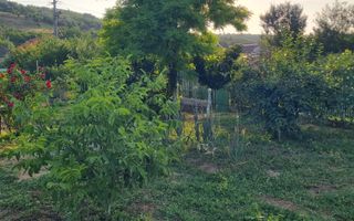 Teren 709mp utilitati asfalt Livezi, Podari, la 7,5 km de Craiova - Poză 6