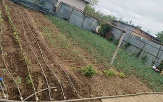 Casa cu teren generos/de vanzare/com Leu, Dolj - Poză 22