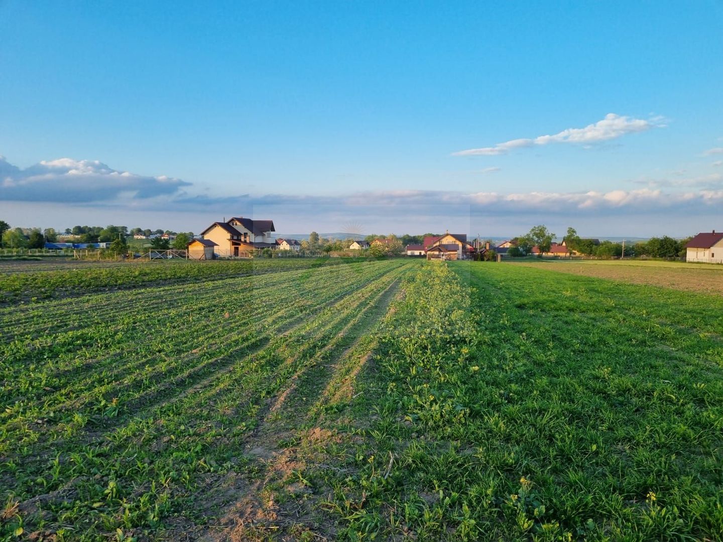 Teren intravila Ilișești - Poză 5