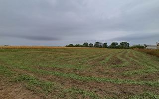 Teren intravilan | 37 arii | Zona Madaras - Poză 3
