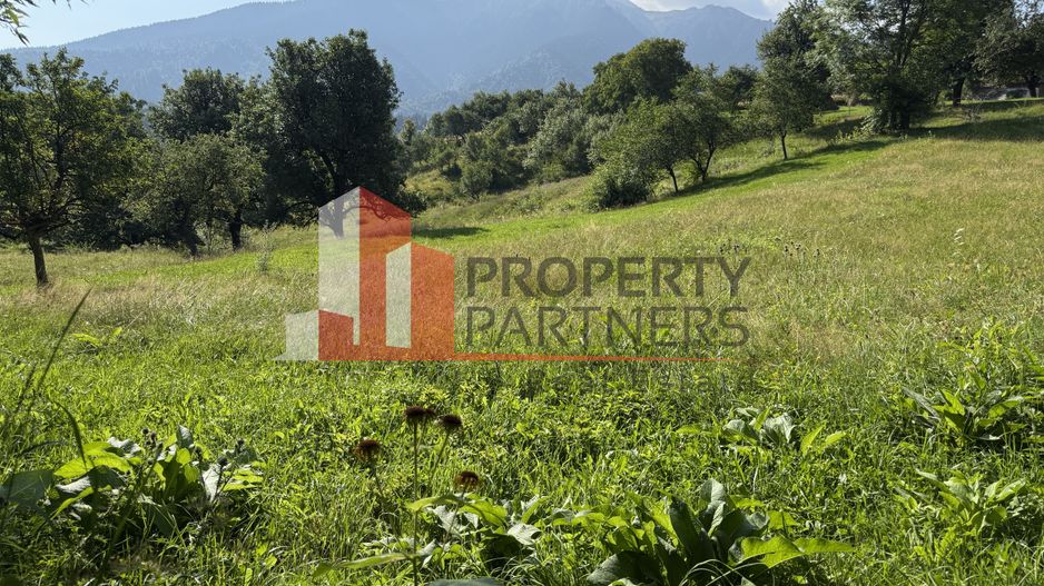 Teren Sohodol 5000 mp - Poză 6