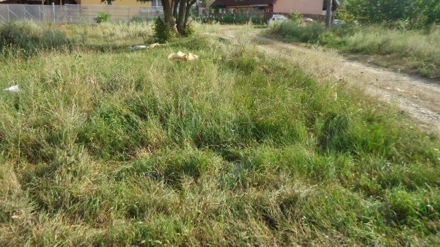 Teren de vanzare 1800mp in Floresti - Poză 1