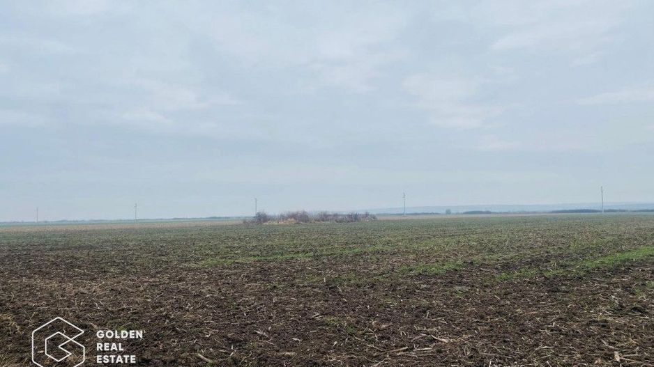 Teren, Intrare Recas, Drumul E70 - Poză 3