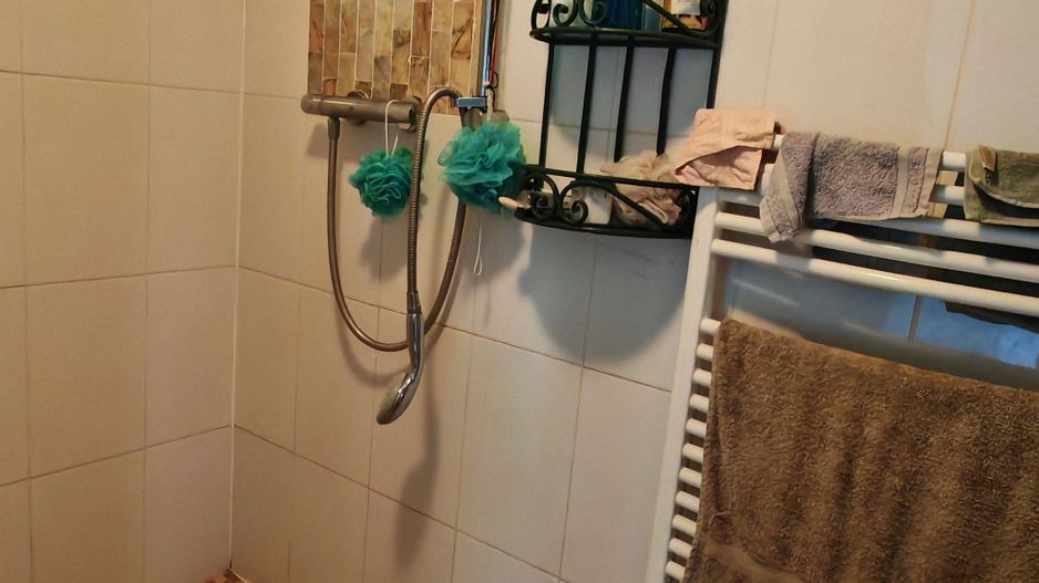 CASA SASEASCA comuna VULCAN,zona foarte buna,teren 3000 mp - Poză 15