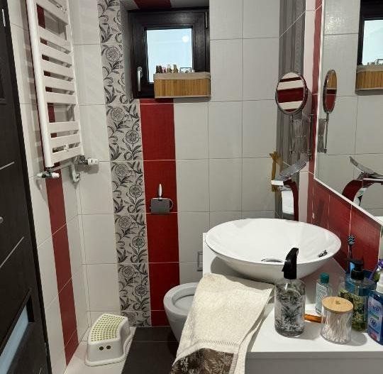 Apartament 3 camere Ardeleni - Poză 14