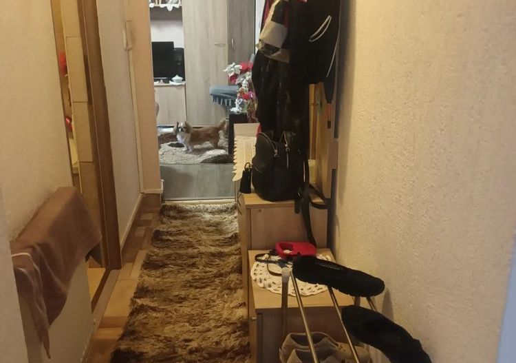 BRASADAS vinde ap 2 cam IRIS. - Poză 5