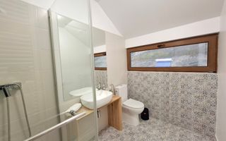 Proprietate cu potențial turistic în zona montană a Țării Lăpușului - Poză 28