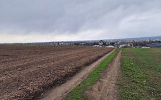 Teren 10,000mp Bacau / Strada Alexandru Safran - Poză 3