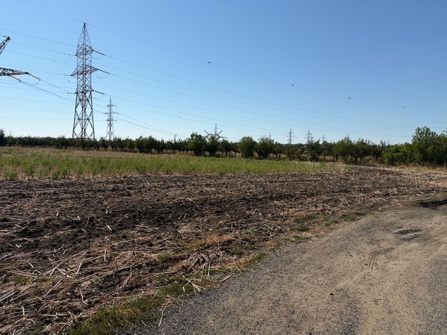 Vând teren langa Timișoara excelent pentru un parc de fotovoltaice - Poză 14