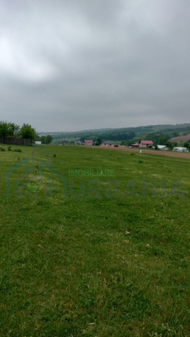 Teren intravilan 7.200 m2, Bordea, Grajduri, ideal case/ investitie - Poză 4