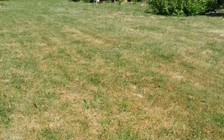 Teren intravilan de vanzare + cabana.  Toate utilitatile! - Poză 3