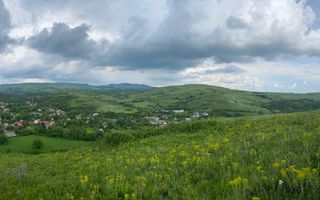 Domeniu 15.900 mp în Fințești | Casă + Investiție Dealu Mare - Poză 17