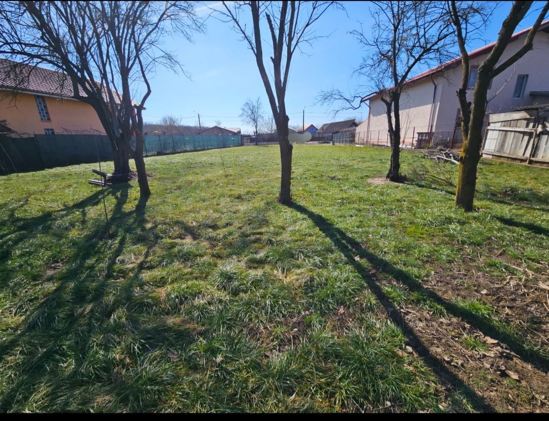 Teren intravilan | Snagov | Utilitati la strada - Poză 8