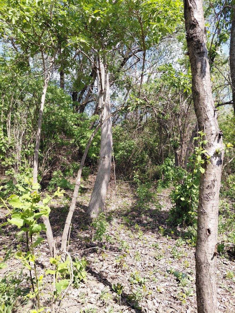 Teren intravilan 3.250 mp în Filești – Ideal pentru casă sau investiție! - Poză 21