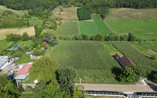 Teren intravilan de vânzare, Sat Bogdănști, Com. Traian - Poză 6