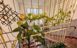 Apartament 3 camere renovat, zona BT Brancusi ! - Poză 13