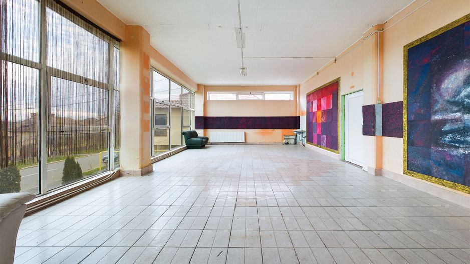 Hală de 2050 mp în Arad - Poză 8