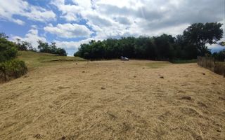 Teren intravilan | 3860 mp în Sărata | ideal pensiune sau resort - Poză 1