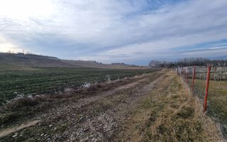 De vanzare teren intravilan 954mp, Oarda de Sus - Poză 5