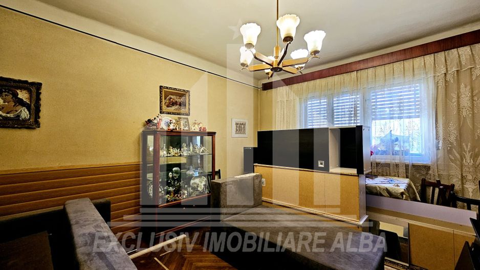 Casa individuala de vanzare, Cetate - Poză 2